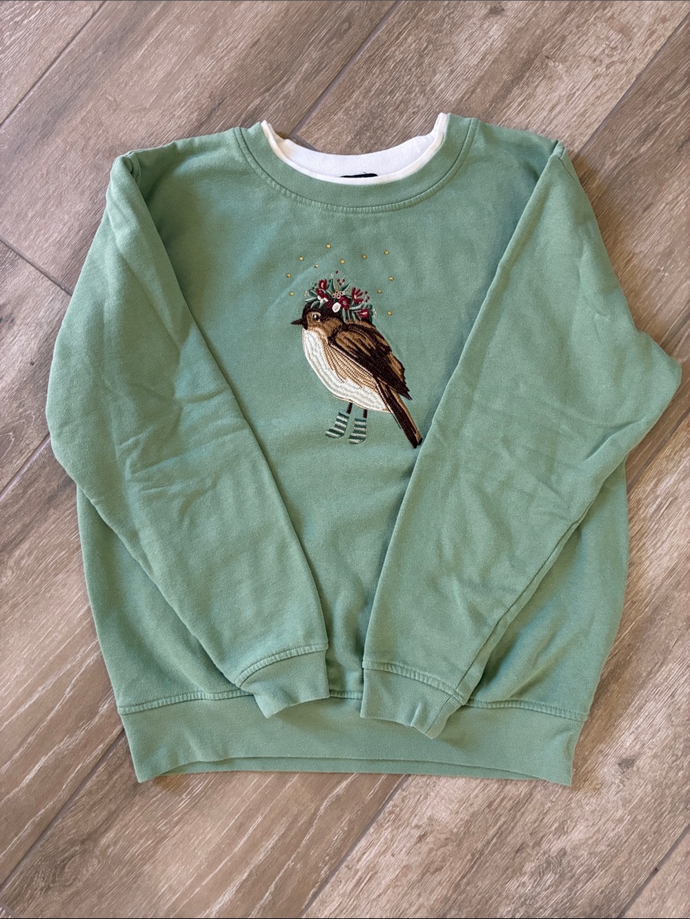 Grandma Core Embroidered Bird Crewneck Sweatshirt in Sage Green